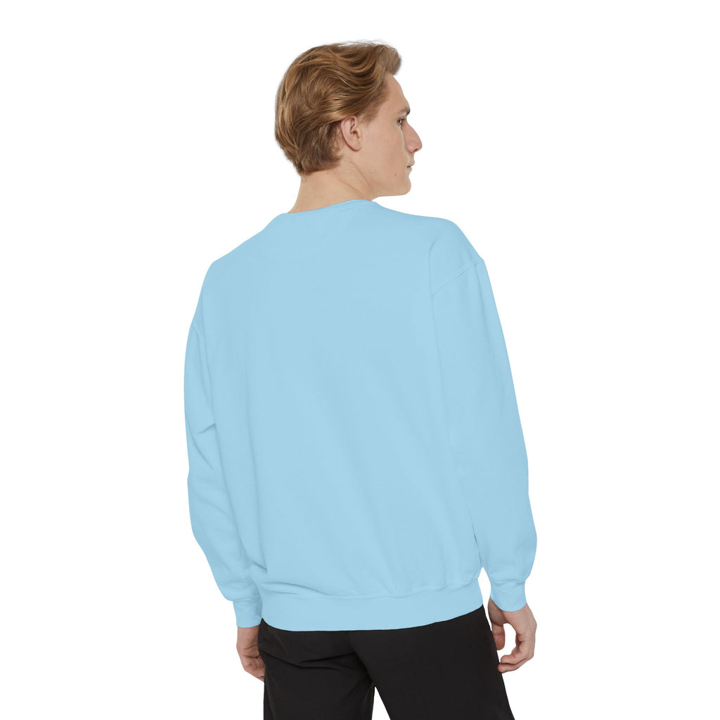 Comfy Sweatshirt