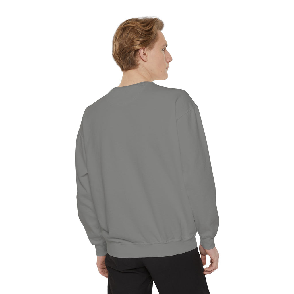 Comfy Sweatshirt