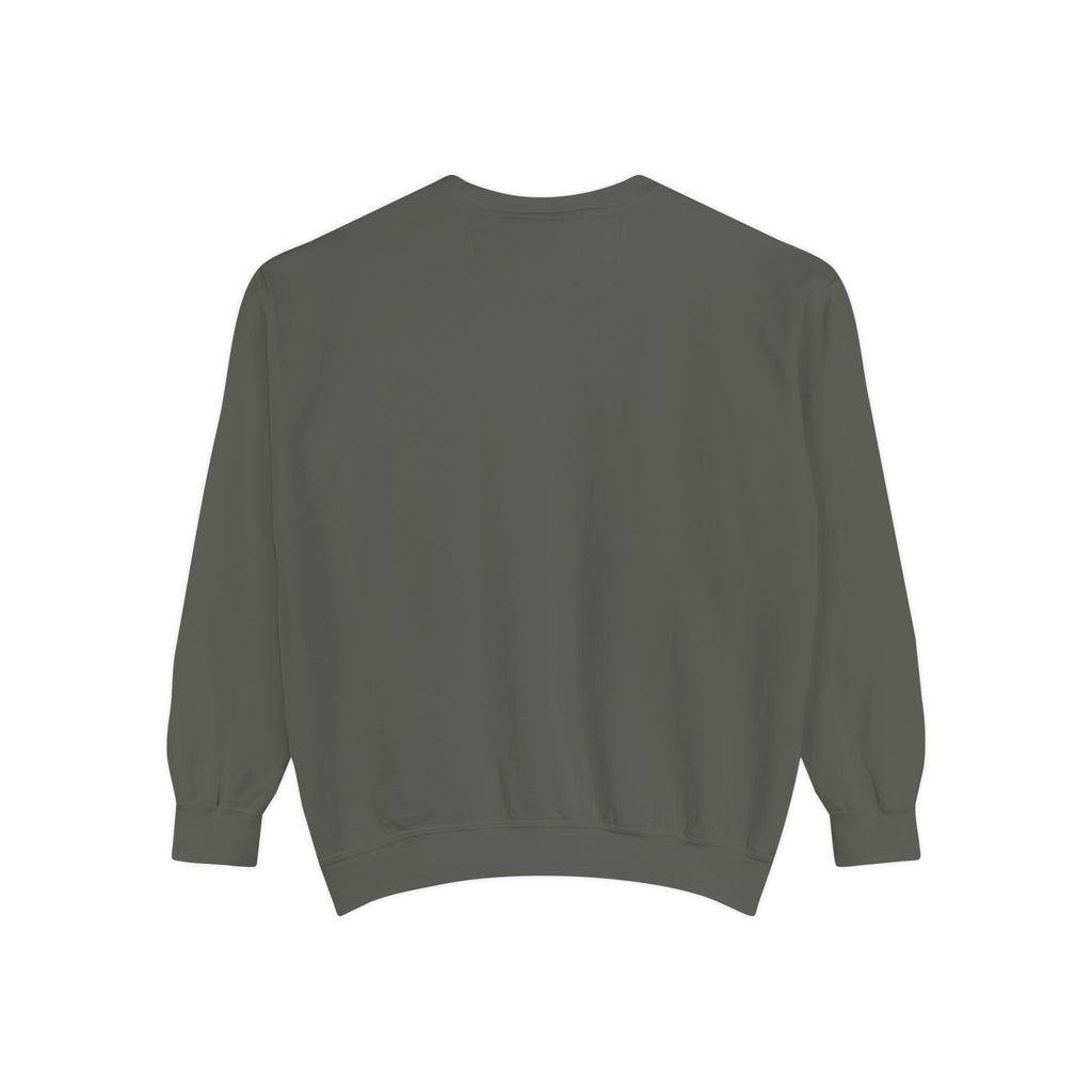 Comfy Sweatshirt