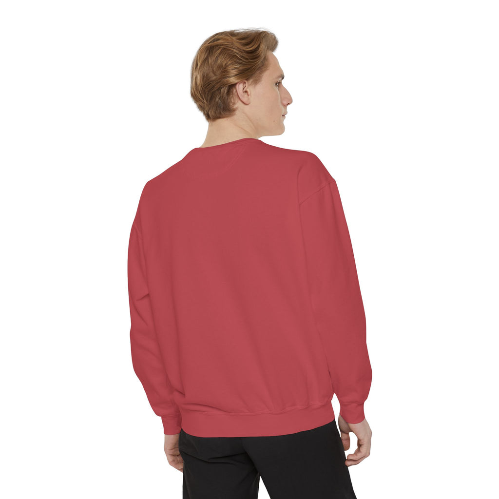 Comfy Sweatshirt