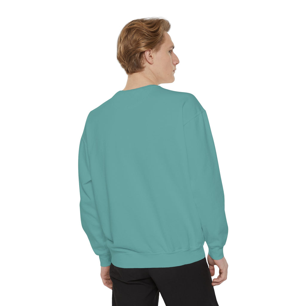 Comfy Sweatshirt