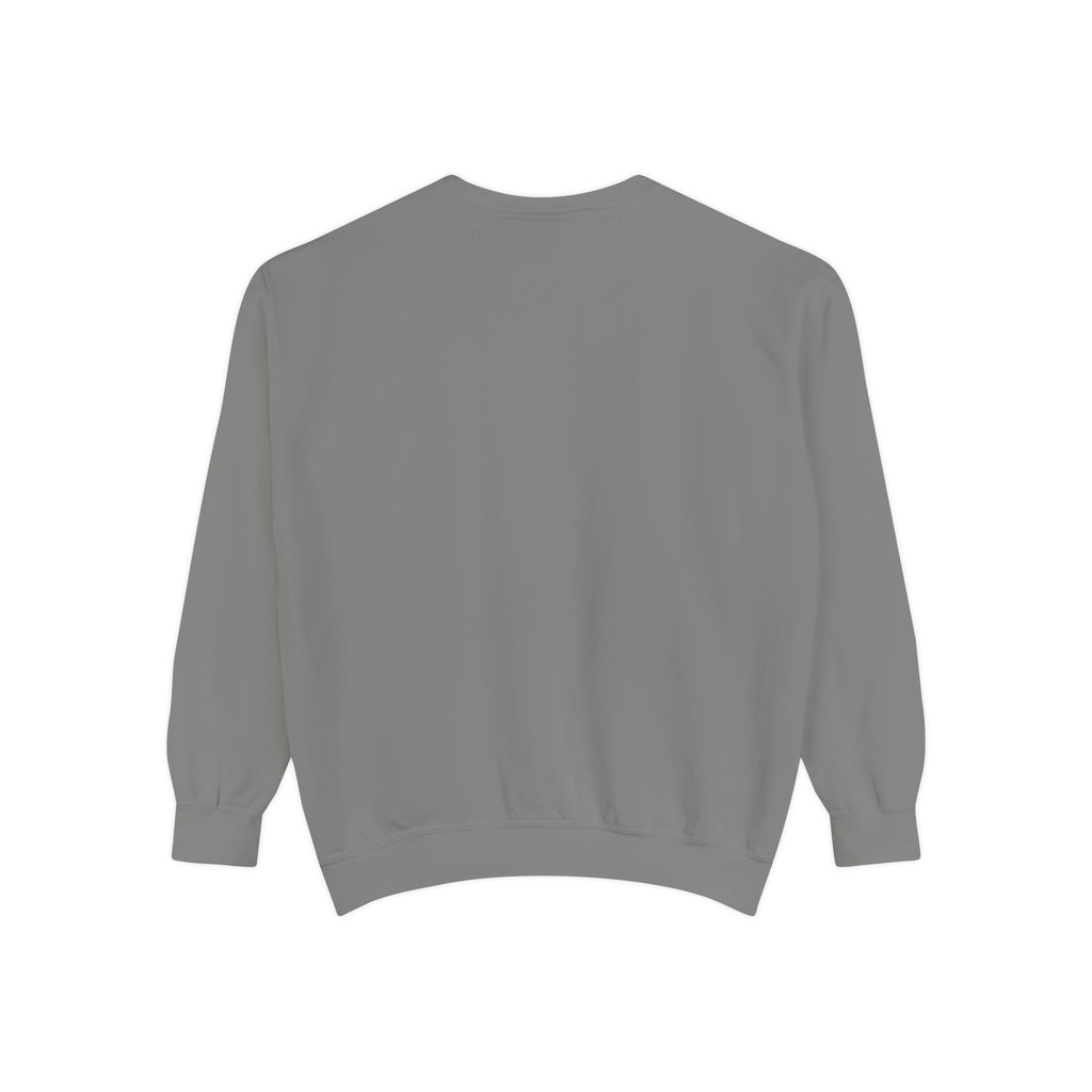Comfy Sweatshirt