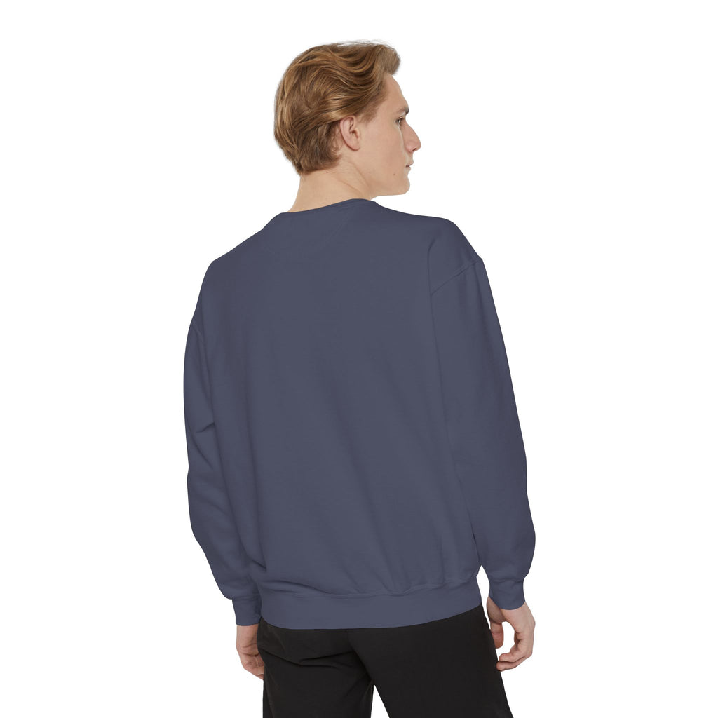 Comfy Sweatshirt