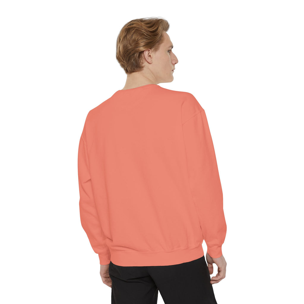 Comfy Sweatshirt