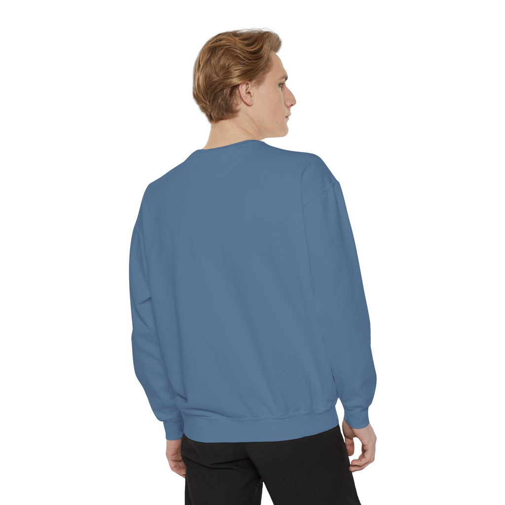 Comfy Sweatshirt