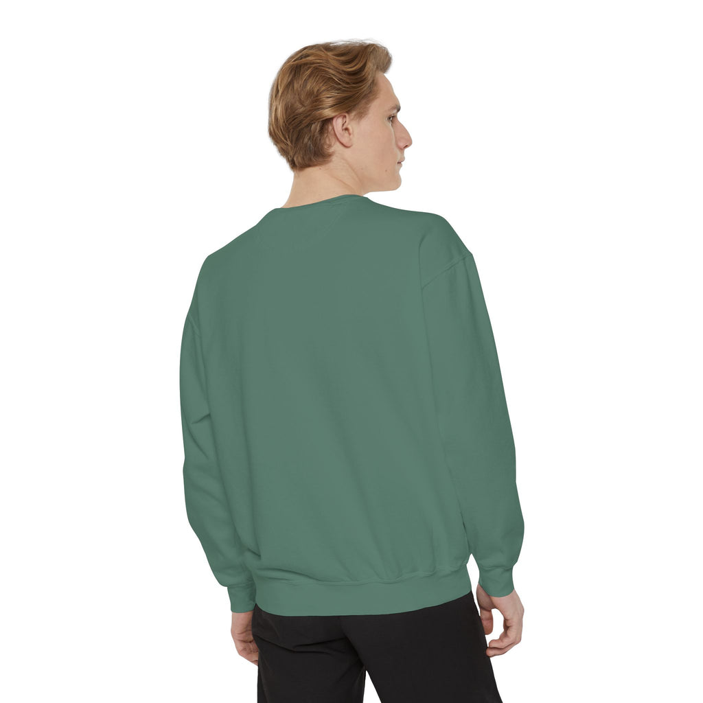 Comfy Sweatshirt