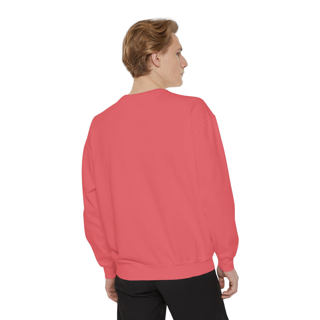 Comfy Sweatshirt
