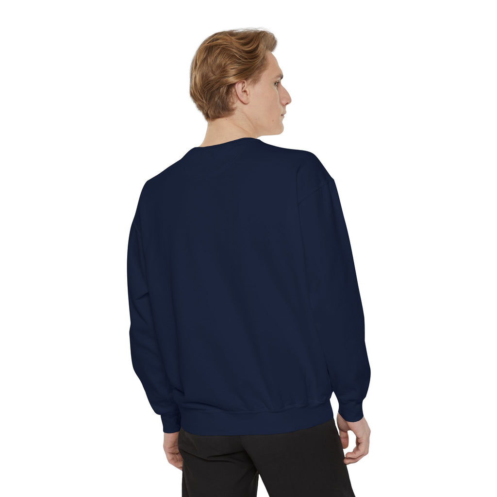Comfy Sweatshirt