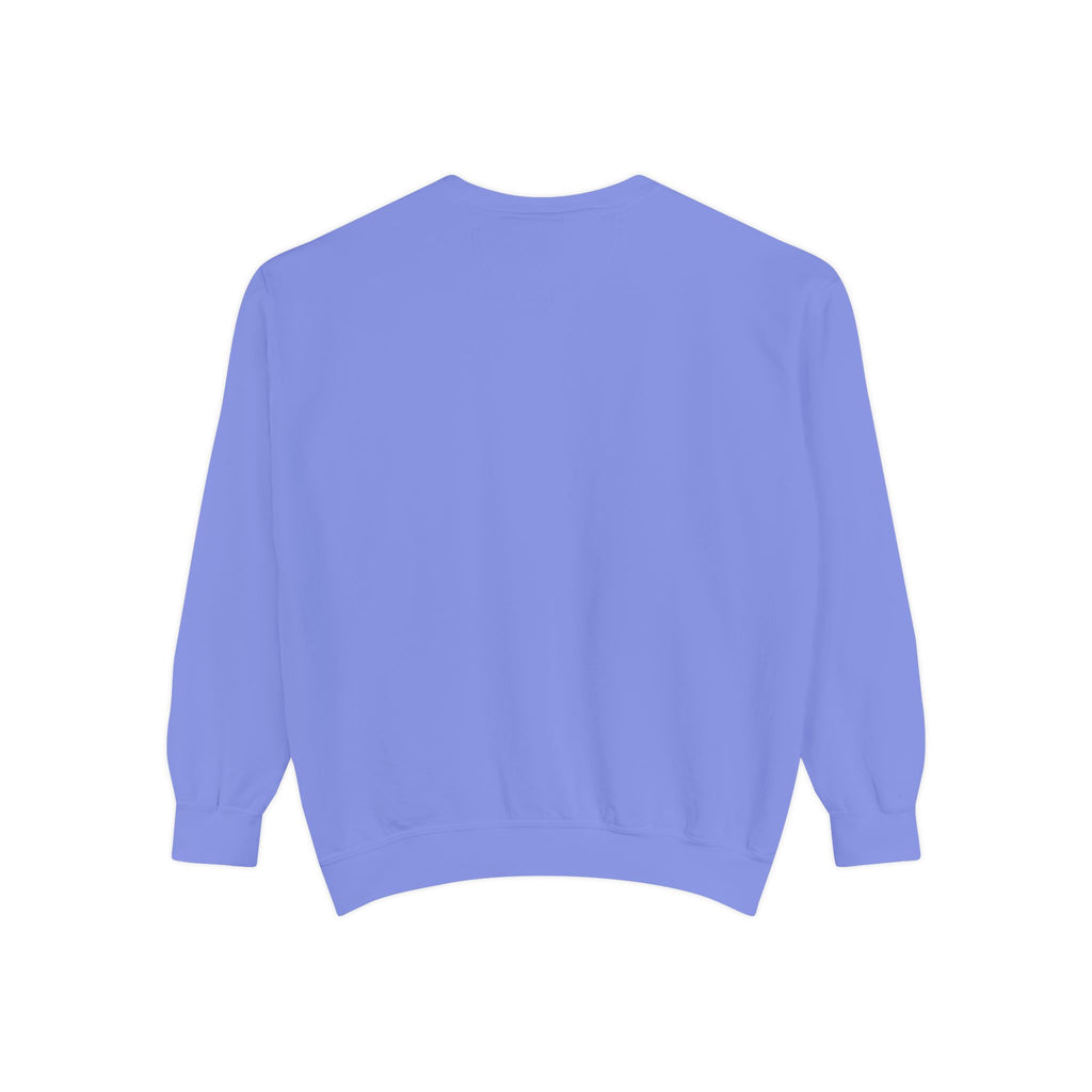 Comfy Sweatshirt