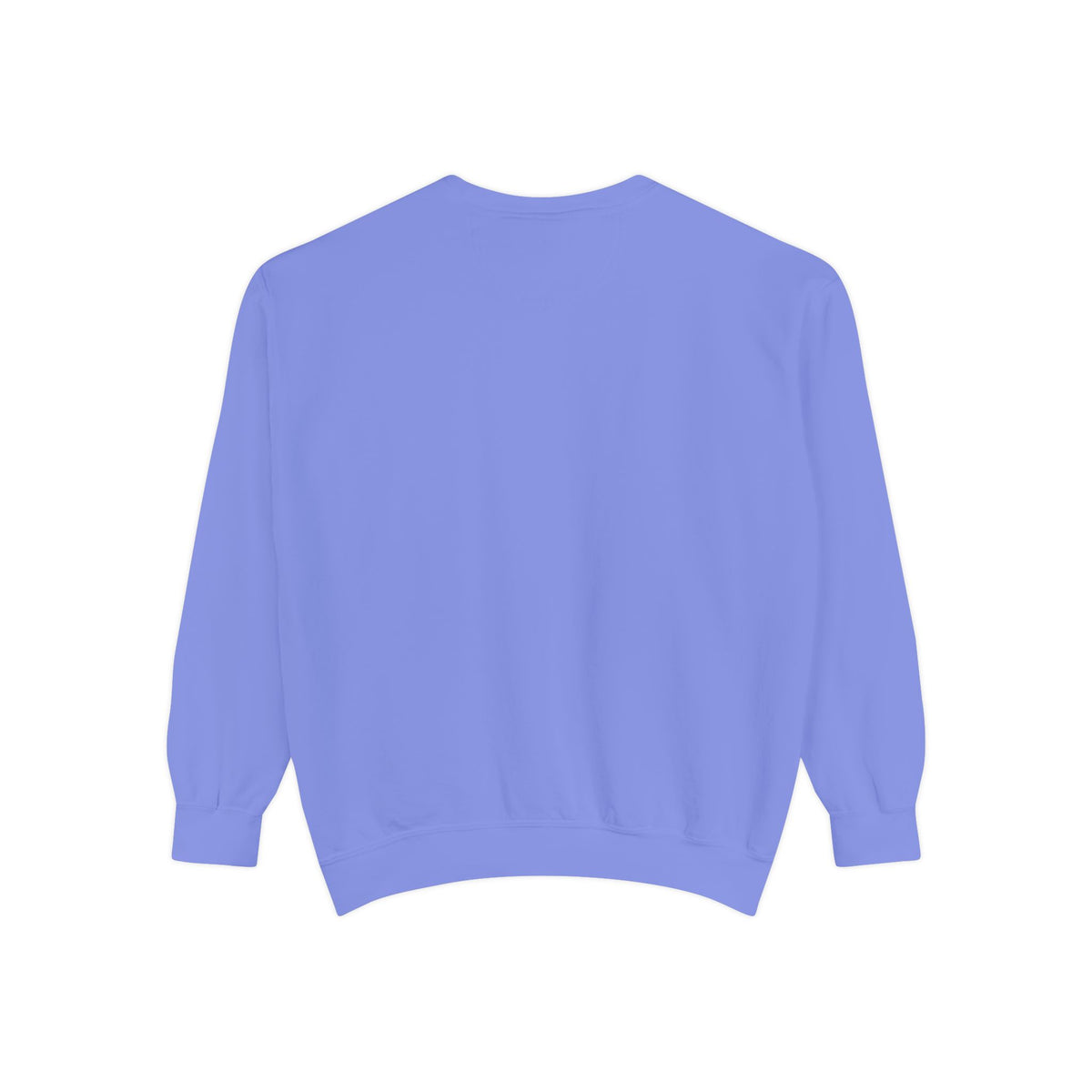 Comfy Sweatshirt