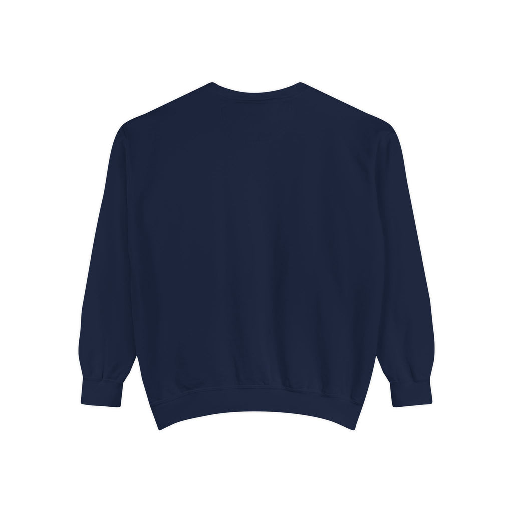 Comfy Sweatshirt