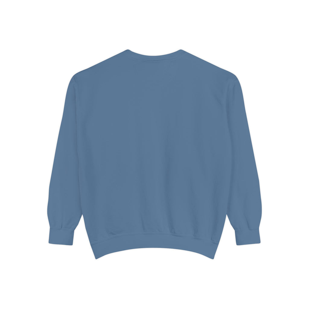 Comfy Sweatshirt