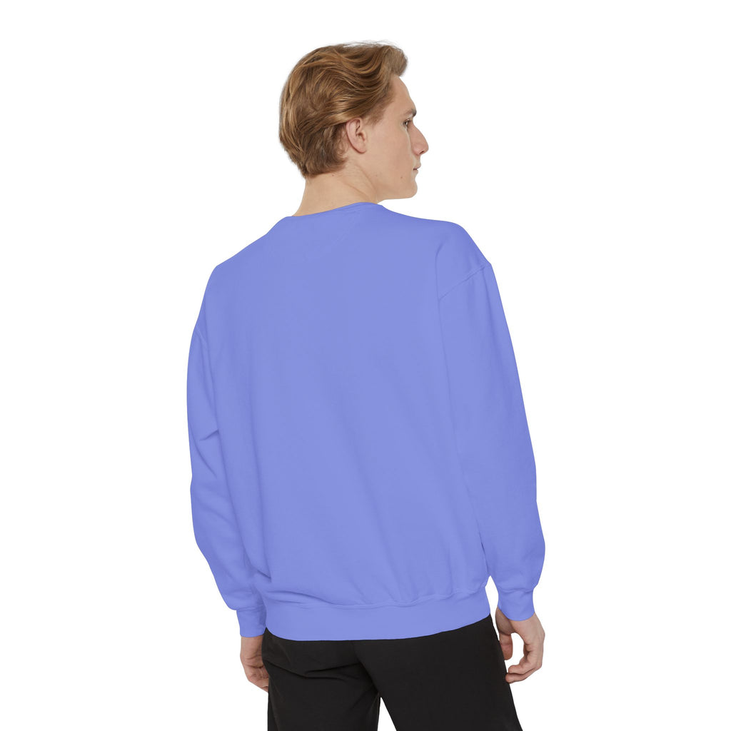 Comfy Sweatshirt